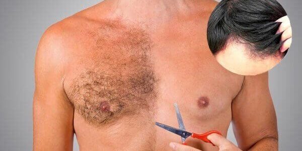 Body Hair Transplant | MCAN Health Blog Body Hair Transplant | MCAN Health Blog