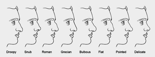 different types of noses 