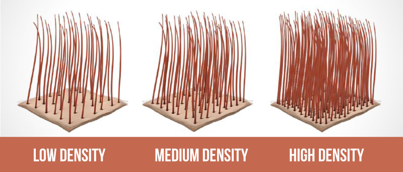 Different hair densities Low hair density, medium hair density and thick hair density