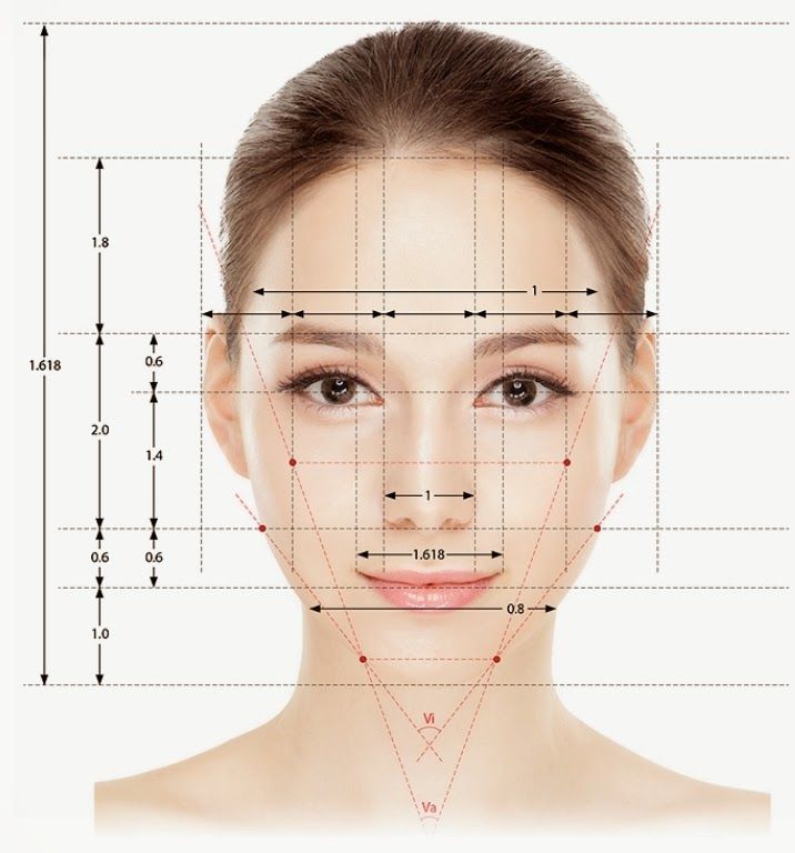 Das Verhältnis von Gesicht und Nase