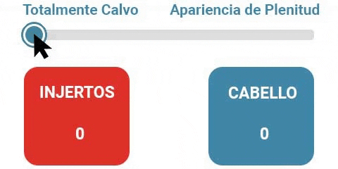 graft-calculator-es