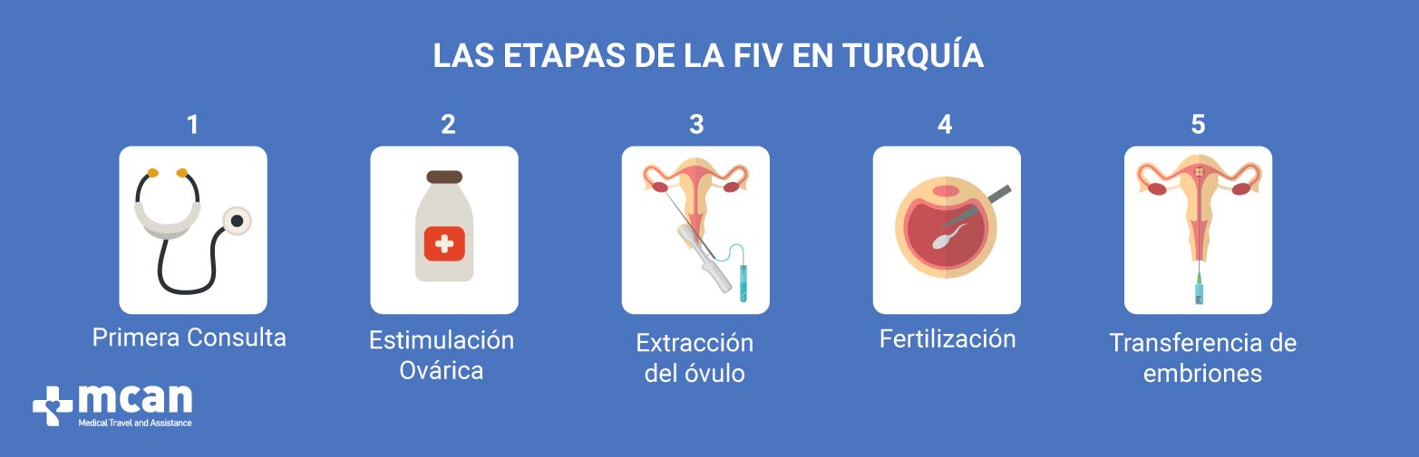 Etapas de la fertilización in vitro (FIV en Turquía) MCAN Health