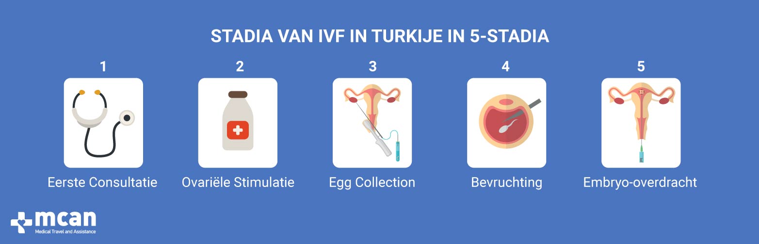 Stadia van IVF Turkije in vitro fertilisatie MCAN Health