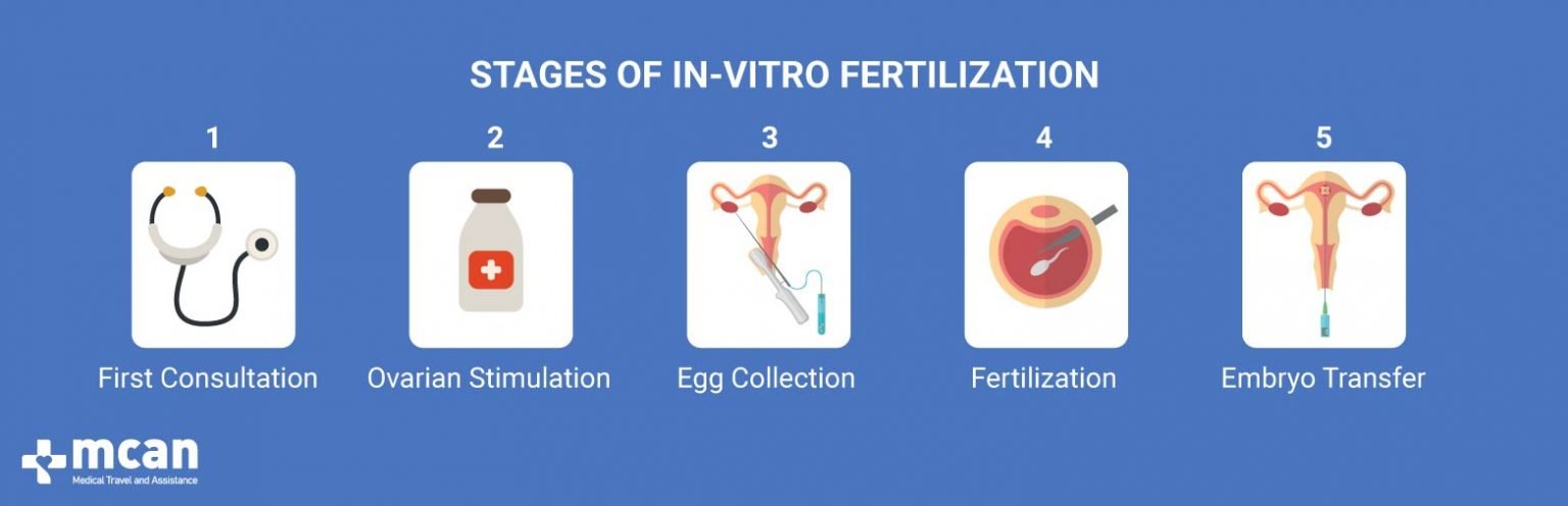 Stages of IVF in Turkey can be explained in 5 stages:  