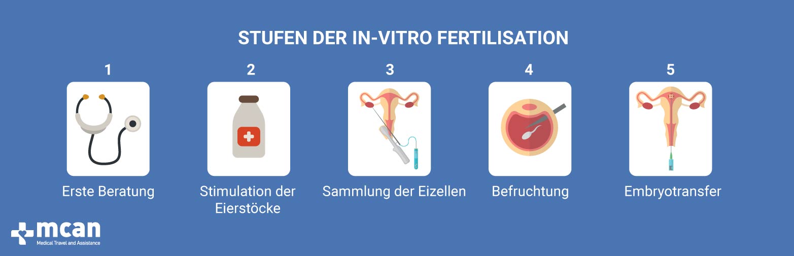 stufen der in vitro fertilisation IVF in der Turkei
