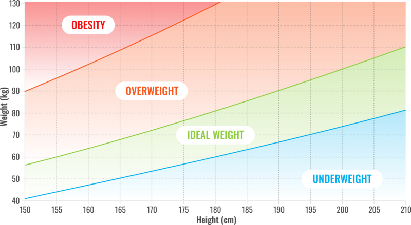 Image of BMI Calculation Graph