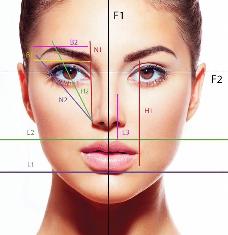 Diagramm eines weiblichen Gesichts, unterteilt nach Proportionen und Geometrie