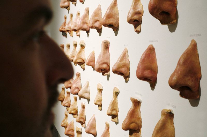 Exhibición de museo de narices sobre un muro blanco y un hombre mirando en primer plano