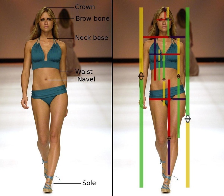Human proportions and golden ratio on a female model