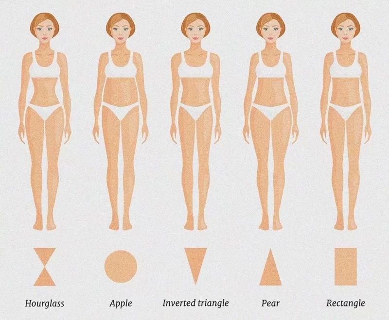 body types