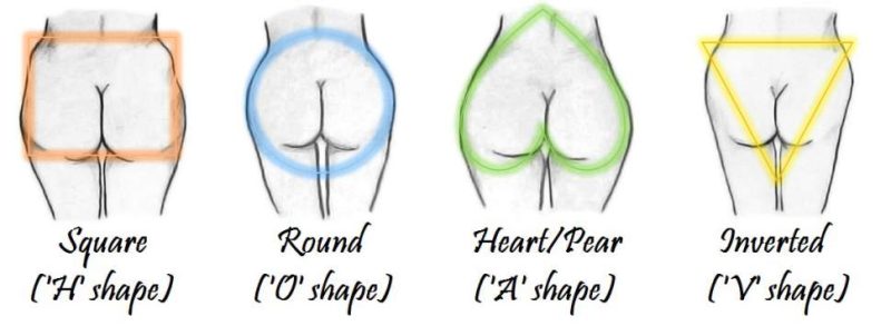 4 different butt shapes cartoon
