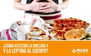 Cómo afectan la grelina y la leptina al cuerpo