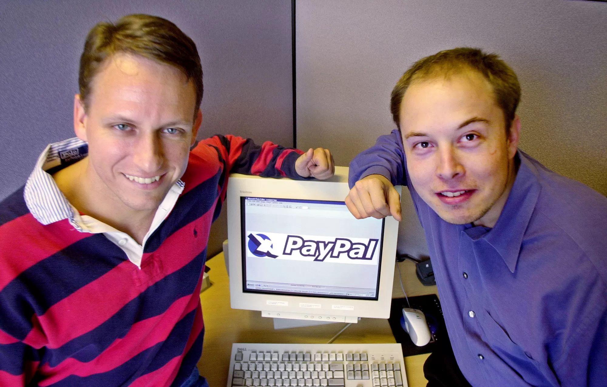 Elon musk bald before hair transplant paypal.jpeg