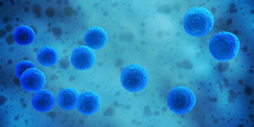 What Is Stem Cell? How Can It Be Beneficial for Treating Hair Loss? 5 stemcell stem cell treatments for hair