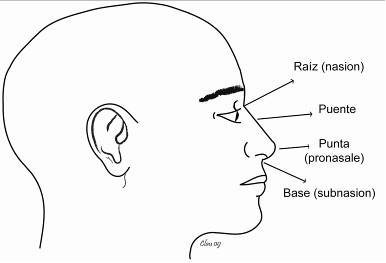 rinoplastia nariz ancha estructura