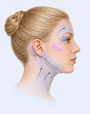 Neck lift with eyelid brow or fat grafting